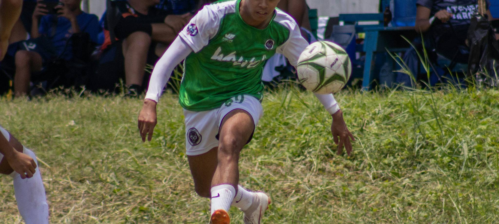 乐鱼体育官网简介