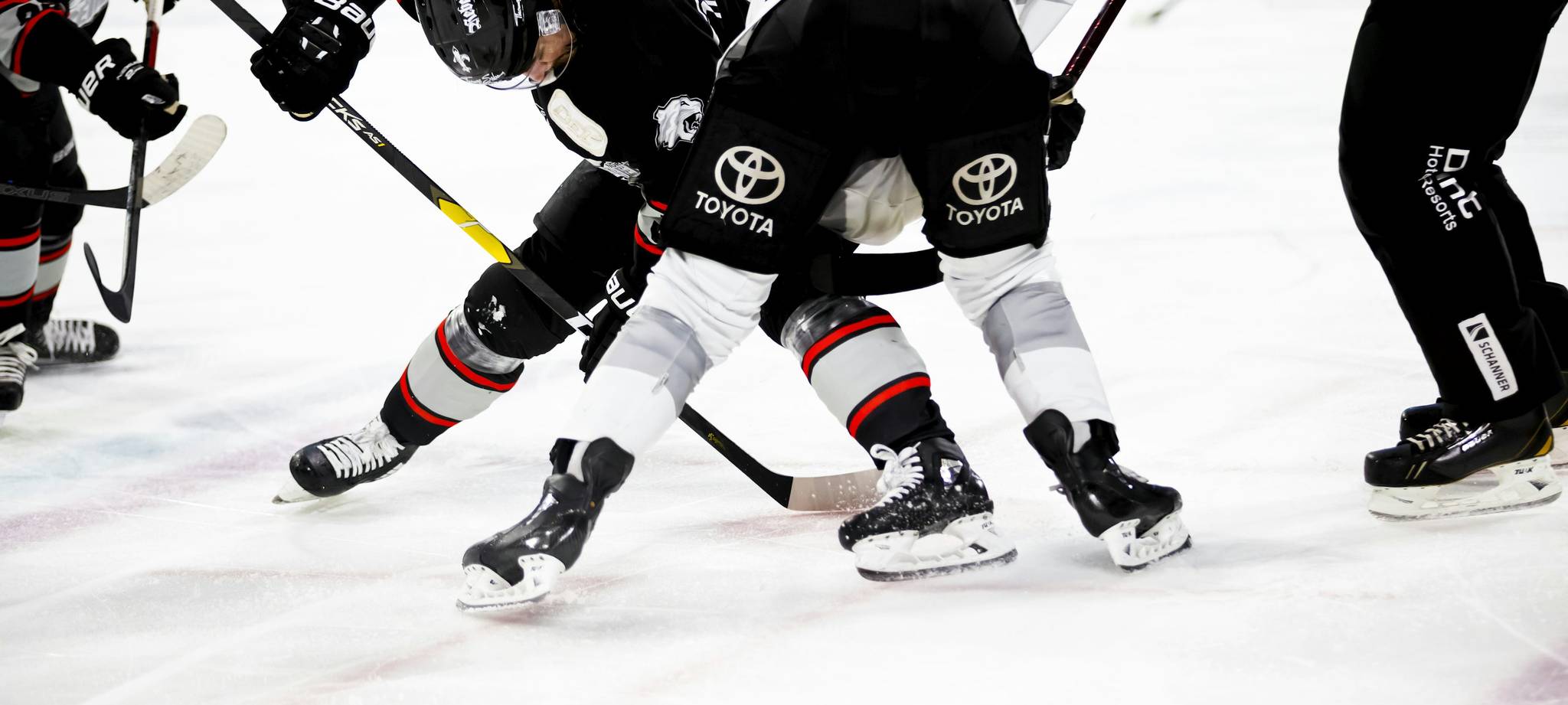 乐鱼体育官网简介